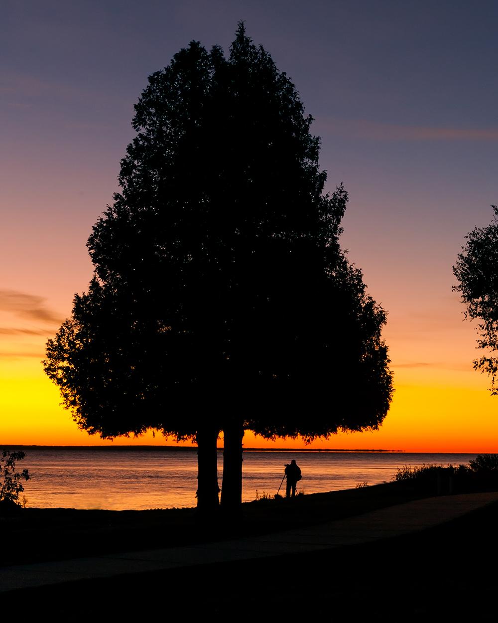 a person stands under a tree both in silhouette by an orang pre-sunrise sky